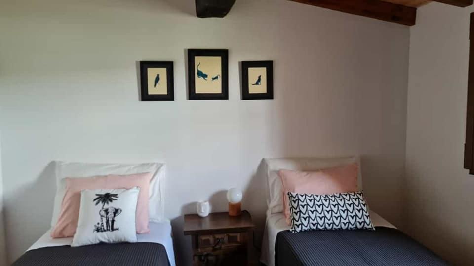 Casa Da Ti Adelia Villa Janeiro de Cima Kültér fotó